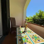 Jungle 住宿加早餐酒店 4*