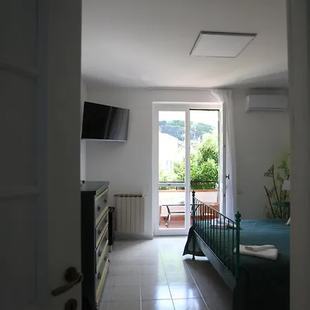 Bed & Breakfast Jungle