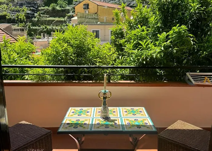 Jungle Bed & Breakfast