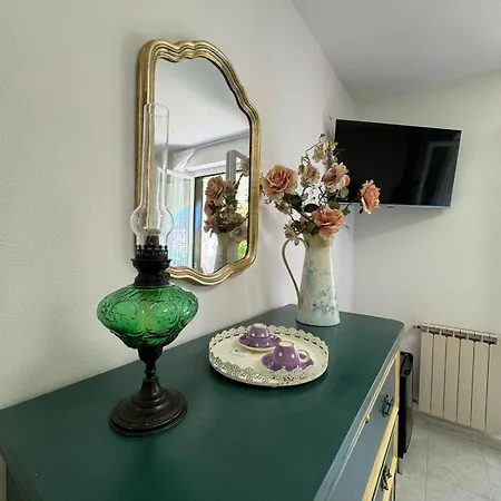 Jungle ベッド・アンド・ブレックファスト