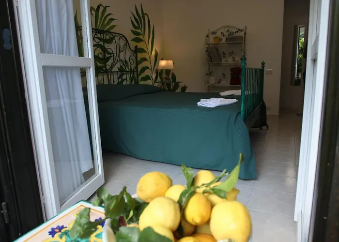 Jungle Bed & Breakfast 4*