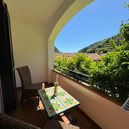 Bed & Breakfast Jungle